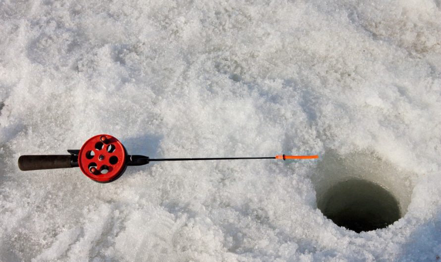 La pêche sur glace : à essayer au moins une fois durant un voyage en Scandinavie