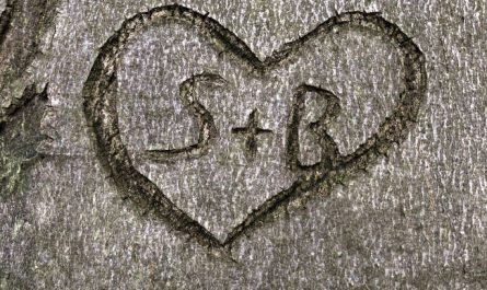 les mots qui resteront gravés dans la pierre