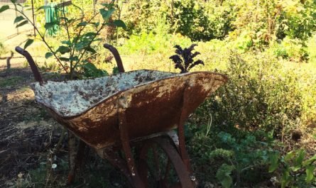 Paillage et compostage