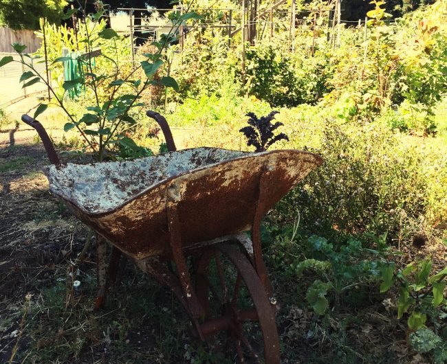 Paillage et compostage : méthodes naturelles pour entretenir la terre du jardin