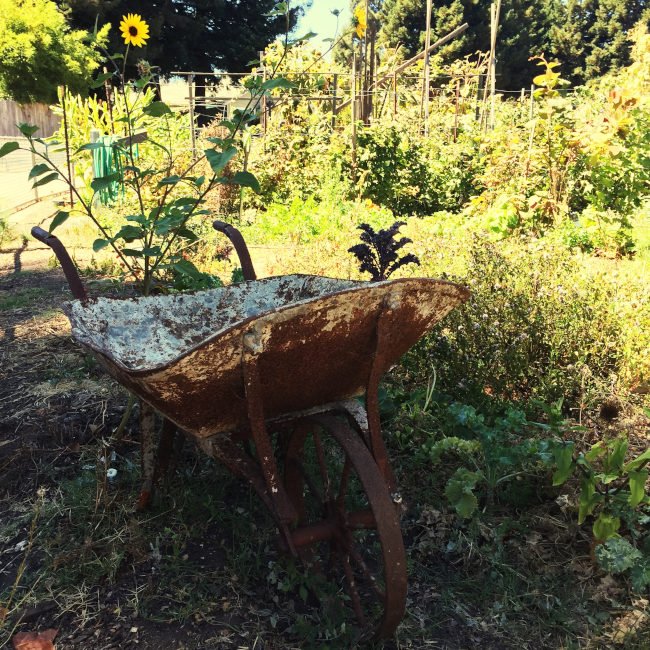 Paillage et compostage