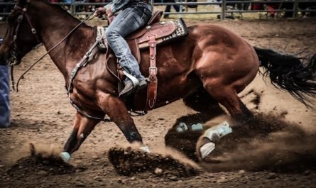 jumping international