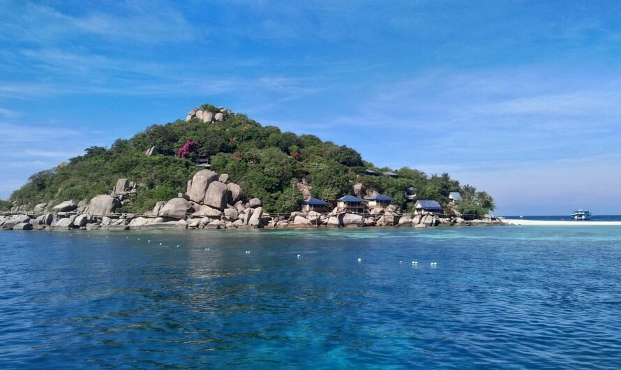 Comment observer les requins à pointe noire en toute sécurité à Koh Tao ?