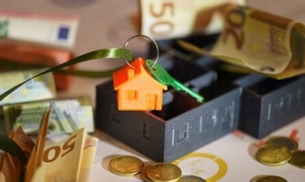 investissement immobilier