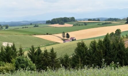 terrain agricole