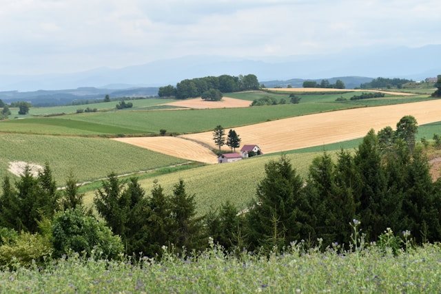 terrain agricole