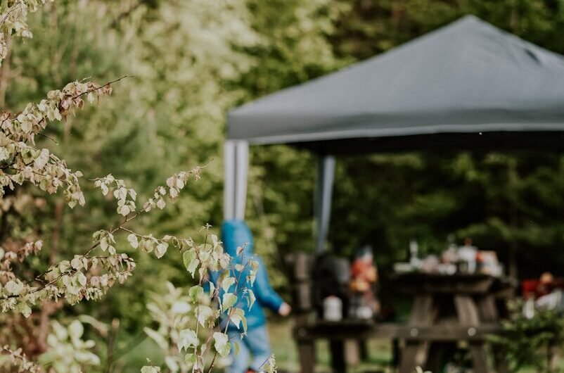 Comment camper dans la jungle en toute sécurité ?