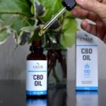 maladies neurodégénératives