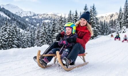 Équipement luge